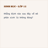 Đề thi giữa kì 2 Sinh 11 có đáp án ( Đề 1)