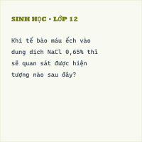 Trắc nghiệm Sinh học 10 Bài 12 có đáp án