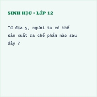 Đề kiểm tra Sinh 6 Chương 10 (có đáp án)