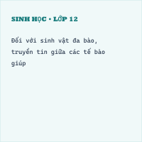 Trắc nghiệm Sinh học 10 Bài 12 có đáp án