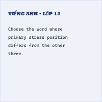 Đề thi chính thức vào 10 Tiếng Anh Trường phổ thông năng khiếu HCM năm 2025 có đáp án