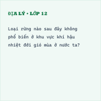 Trắc nghiệm Địa Lí Bài 10 (có đáp án): Thiên nhiên nhiệt đới ẩm gió mùa (Phần 3)