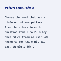 Đề thi thử vào lớp 6 môn Tiếng Anh trường THCS Nguyễn Tri Phương năm 2021-2022 có đáp án