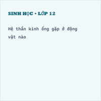Trắc nghệm Sinh học Bài 27 (có đáp án): Cảm ứng ở động vật có hệ thần kinh dạng ống
