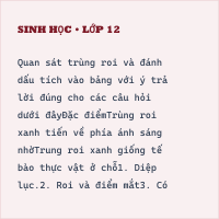 Đề thi Sinh học 7 học kì 1 có đáp án (Đề 3)