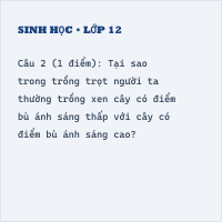 Bộ đề thi giữa kì 1 Sinh 11 có đáp án - Đề 3