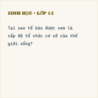 Đề kiểm tra Giữa học kì 1 Sinh 10 có đáp án - Đề 1