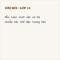 Hỏi Trắc nghiệm Cấu tạo nhiễm sắc thể có đáp án