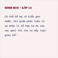 Trắc nghiệm Sinh 9 (có đáp án): Các dạng bài tập Quy luật di truyền của Menđen (P1) - Thumbnail