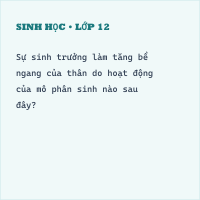 Chuyên đề Sinh Bài 20: Sinh trưởng ở thực vật có đáp án