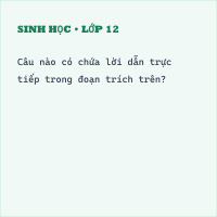 Trắc nghiệm Tổng hợp đề đọc hiểu văn bản Mã Giám Sinh mua Kiều có đáp án