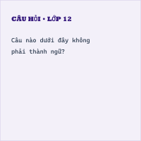 Trắc nghiệm Thành ngữ có đáp án