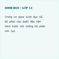 Trắc nghiệm Sinh Học Bài 61: (có đáp án) Cơ quan sinh dục nữ (Phần 2)