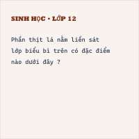 Trắc nghiệm Sinh Bài 20 (có đáp án) : Cấu tạo trong của phiến lá