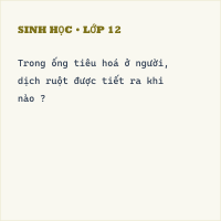 Trắc nghiệm Sinh Học Bài 29: (có đáp án) Hấp thu chất dinh dưỡng và thải phân (Phần 2)