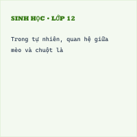 Bài tập Hệ sinh thái - Sinh học 12 cực hay có lời giải (P6)