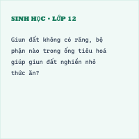 Trắc nghiệm Sinh Học Bài 15: (có đáp án) Giun đất (phần 2)
