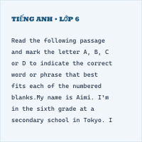 Đề thi thử vào lớp 6 môn Tiếng Anh trường THCS&THPT Lương Thế Vinh năm 2022 có đáp án (Đề 3)