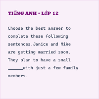 Trắc nghiệm Tiếng Anh 9 Unit 8 Vocabulary and Grammar có đáp án