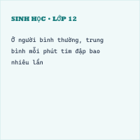 Trắc nghiệm Sinh học Bài 17 (có đáp án): Tim và mạch máu