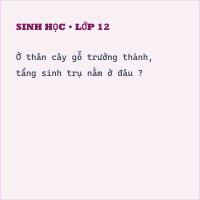 Trắc nghiệm Sinh Học Bài 16: Thân to ra do đâu?