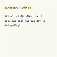 Đề kiểm tra 15 phút Sinh học 6 (Đề 5)