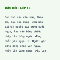 Bài tập tự luận Lời văn đoạn văn tự sự (có đáp án)