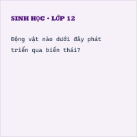 Trắc nghiệm Sinh Học Bài 55: (có đáp án) Tiến hóa về sinh sản (phần 2)