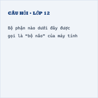 Đề thi giữa kì 1 Tin học 6 có đáp án (Bài số 1 - Đề 3)