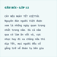(Ngữ liệu ngoài sgk) Cây nêu ngày tết Việt