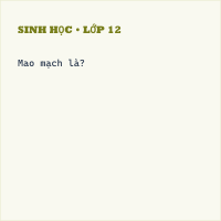 Trắc nghiệm Sinh Học Bài 19 (có đáp án): Tuần hoàn máu (Phần 1)