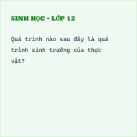 Trắc nghiệm Sinh học 11 Bài 15 có đáp án