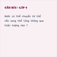 Đề thi giữa kì 1 môn Khoa học lớp 4 có đáp án (Đề 2) - Thumbnail