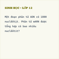 Trắc nghiệm Sinh 9 (có đáp án): Các dạng bài tập về ADN và Gen