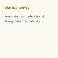 Trắc nghiệm Lịch sử 9 Bài 12 có đáp án (Phần 6)