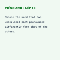 Đề thi Tiếng Anh 11 Học kì 1 có đáp án (Đề 2)