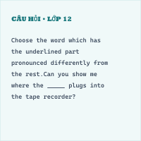 Bài 9: Kiểm tra unit 4