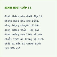 Trắc nghiệm Sinh Học Bài 45 (có đáp án) Dòng năng lượng trong hệ sinh thái và hiệu suất sinh thái