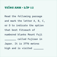 Đề minh hoạ vào lớp 10 môn Anh 2025 - Quảng Nam có đáp án - Thumbnail