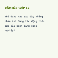 Trắc nghiệm Lịch sử 8 Bài 3 có đáp án