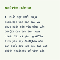 Bộ đề thi giữa kì Ngữ Văn 7 cấu trúc mới có đáp án - Đề 5