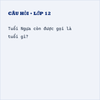 Trắc nghiệm Tuổi Ngựa có đáp án