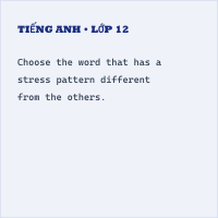 Bộ đề thi cuối kì 2 Tiếng Anh 11 có đáp án ( Đề 5)