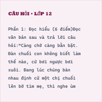 Đề thi học kì Ngữ văn 6 có đáp án (Đề 2)
