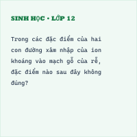 Bộ đề thi Học kì 1 Sinh học 11 có đáp án (đề 3)