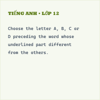 Đề thi Tiếng Anh 6 Học kì 1 có đáp án, cực hay (Đề 3)
