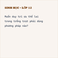 Trắc nghiệm Sinh Học Bài 35 (có đáp án) : Ưu thế lai
