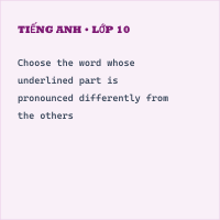 Đề thi vào lớp 10 môn Tiếng Anh năm 2020 cực hay có đáp án (Đề 5)