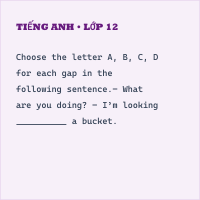 Đề thi giữa kì 2 Tiếng Anh 8 có đáp án (Đề 1)