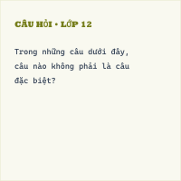Trắc nghiệm Câu đặc biệt có đáp án